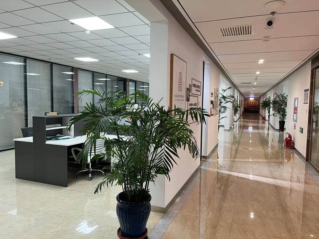 吉林攸同律师事务所 专业法律咨询服务的守护者
